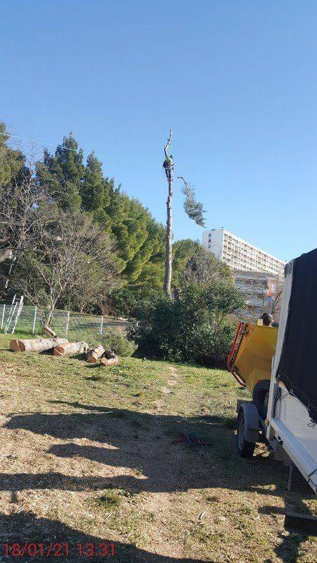 service elagage chlorocime aubagne