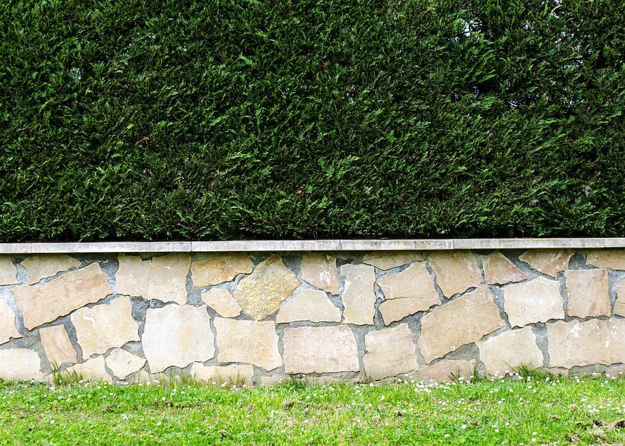 Haubanage  Expertise et Sécurité Garanties